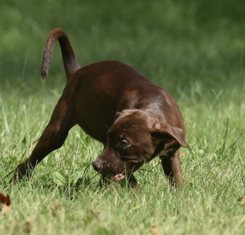 Photo 6 of Filly