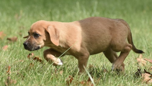 Photo 2 of Lainey