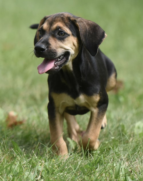 Photo 2 of Lily