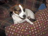 Fannie