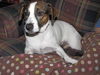 Fannie