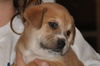 Wilbur