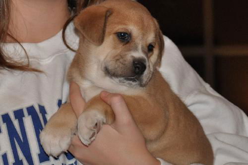 Wilbur