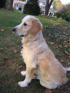Bailey