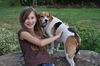 Annie the Beagle