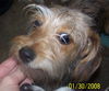 Maggie