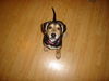 Addie