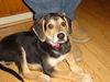 Addie