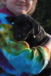 Lilly