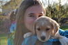 Livvy