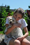 Alue