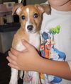 Waylon