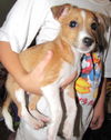 Waylon
