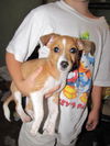 Waylon