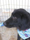 Maggie