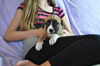 Bandit