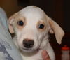Tilly