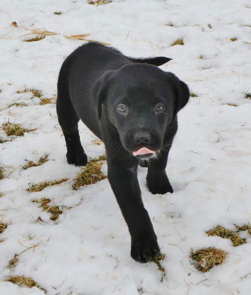 Egor
