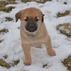 Emmie