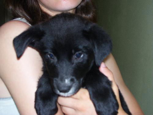 Betty