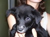 Betty