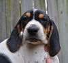 Duke