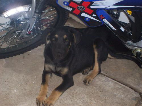 Kash