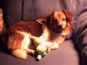 Lady Sadie