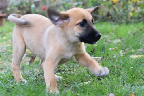 Maggie