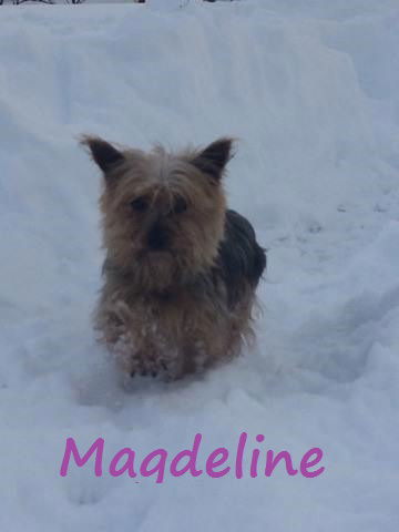 Magdeline