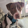 Sully - Photo 9
