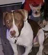 Sully - Photo 11