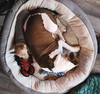 Sully - Photo 15