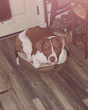 Sully - Photo 3