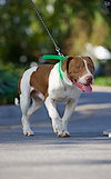 Sully - Photo 4