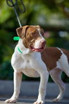 Sully - Photo 7