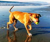 Jax - Photo 7