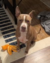 Percy J - Photo 2