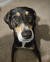 Penny - Photo 6