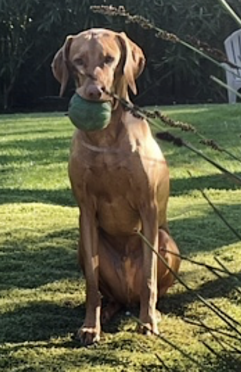 Harrison, photo 10