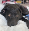 Tucker - Photo 2