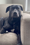 Tucker - Photo 3