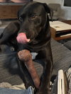 Tucker - Photo 5