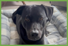 Tucker - Photo 1