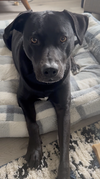 Tucker - Photo 8