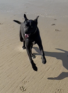 Tucker - Photo 4