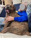 Opie - Photo 4