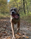 Opie - Photo 11