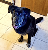Snuffles - Photo 9