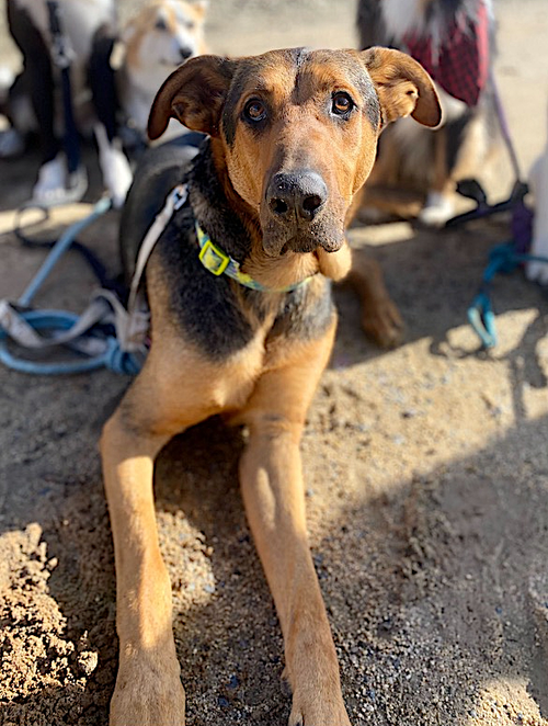 Tucker — thumbnail 8